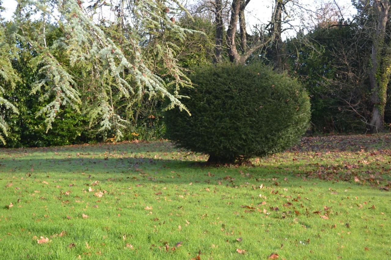 Gite Des Ecuries Derchigny Extérieur photo